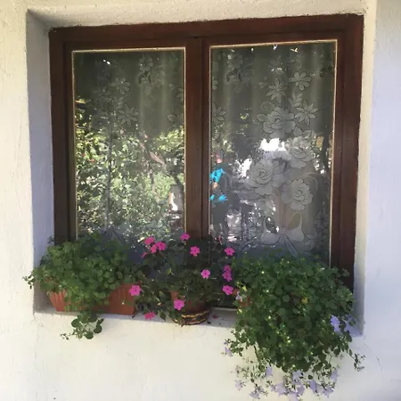 Nikola Guest house